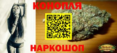 скорость Гатчина