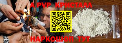 гашик Гай