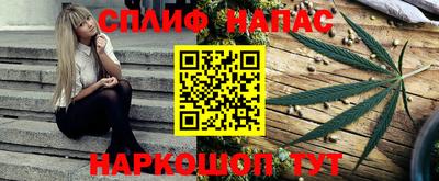 гашик Гай