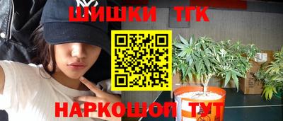 гашик Гай