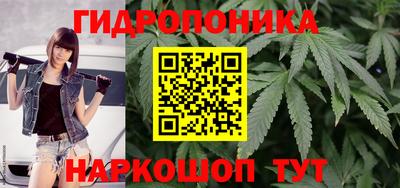 гашик Гай
