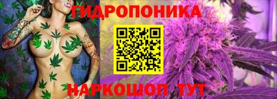 скорость Гатчина