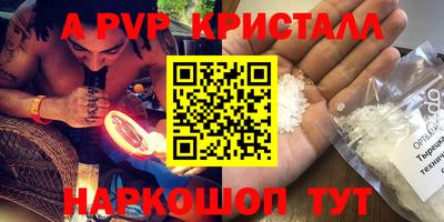 гашик Гай