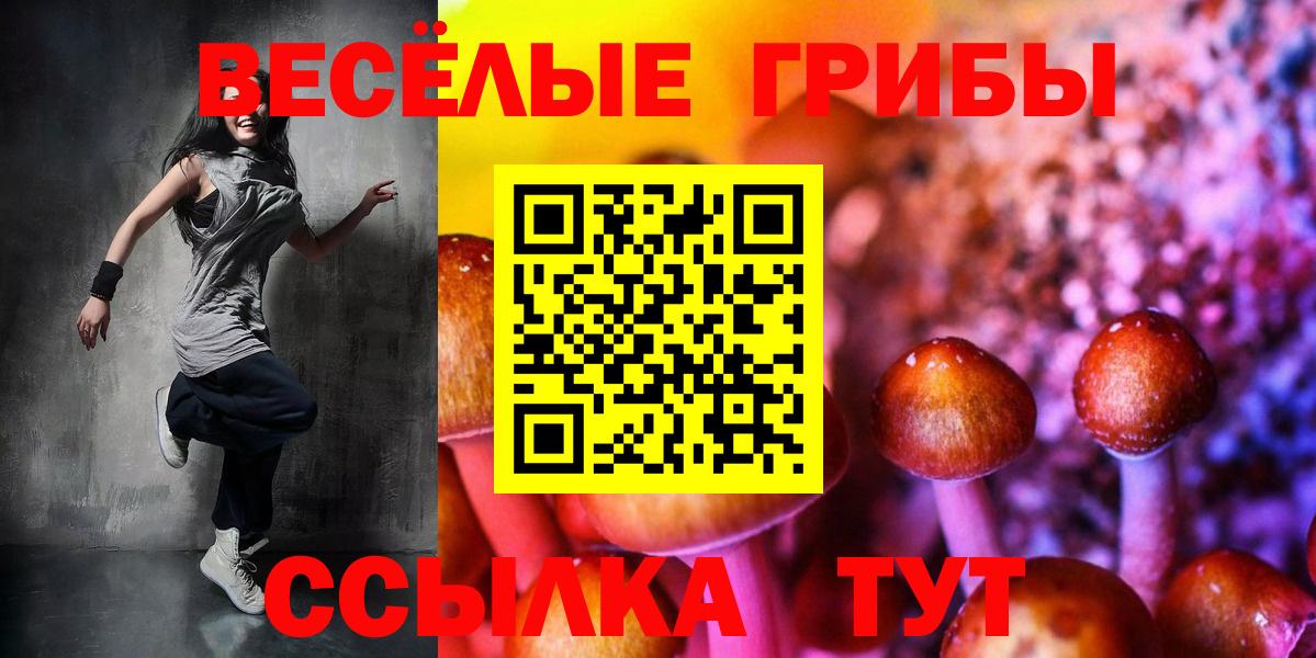 Псилоцибиновые грибы ЛСД Наро-Фоминск